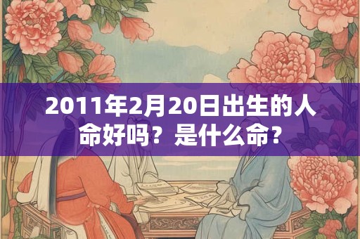 2011年2月20日出生的人命好吗？是什么命？