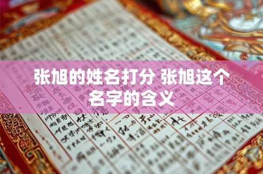 张旭的姓名打分 张旭这个名字的含义