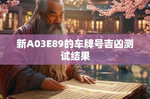 新A03E89的车牌号吉凶测试结果