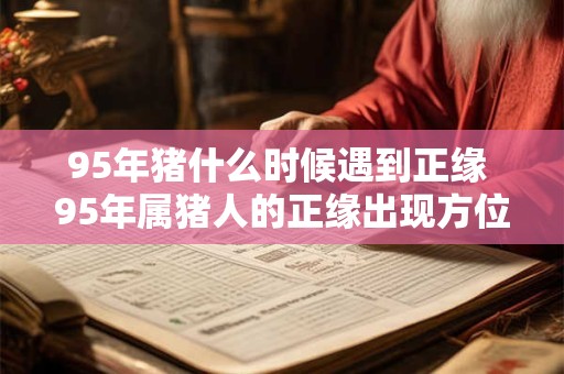 95年猪什么时候遇到正缘 95年属猪人的正缘出现方位！