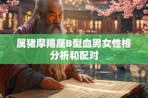 属猪摩羯座B型血男女性格分析和配对