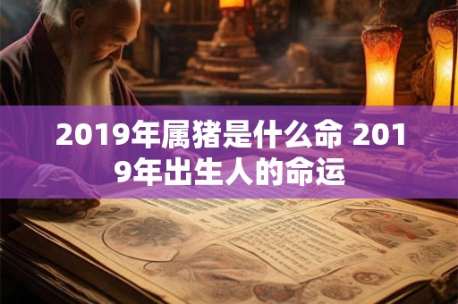2019年属猪是什么命 2019年出生人的命运