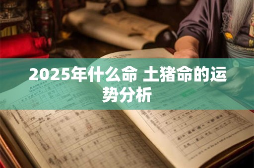 2025年什么命 土猪命的运势分析