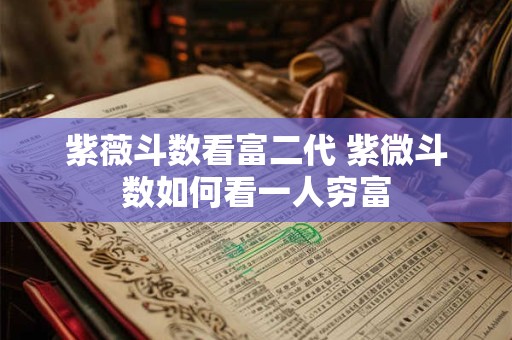 紫薇斗数看富二代 紫微斗数如何看一人穷富