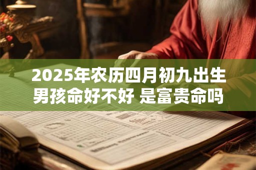 2025年农历四月初九出生男孩命好不好 是富贵命吗