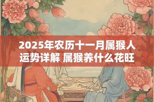 2025年农历十一月属猴人运势详解 属猴养什么花旺财