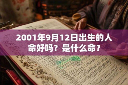 2001年9月12日出生的人命好吗？是什么命？