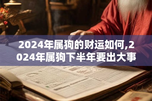2024年属狗的财运如何,2024年属狗下半年要出大事
