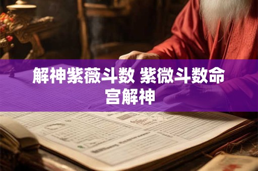 解神紫薇斗数 紫微斗数命宫解神