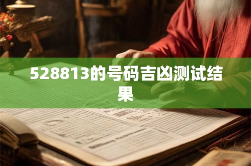 528813的号码吉凶测试结果