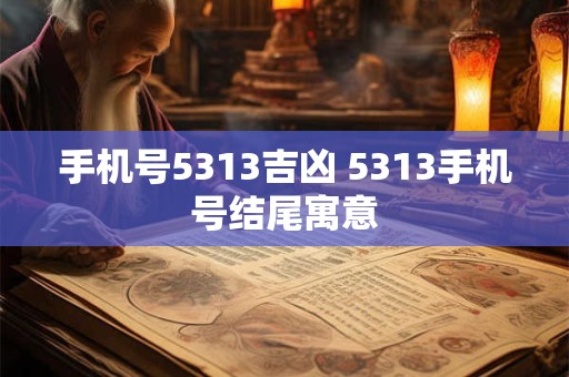 手机号5313吉凶 5313手机号结尾寓意