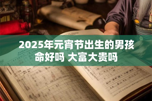 2025年元宵节出生的男孩命好吗 大富大贵吗 2025年元宵节出生的男孩命好吗 大富大贵吗
