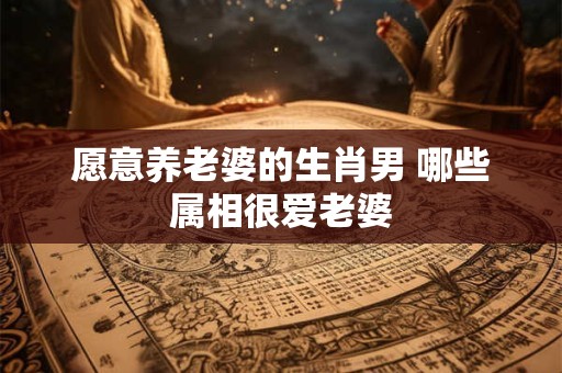 愿意养老婆的生肖男 哪些属相很爱老婆