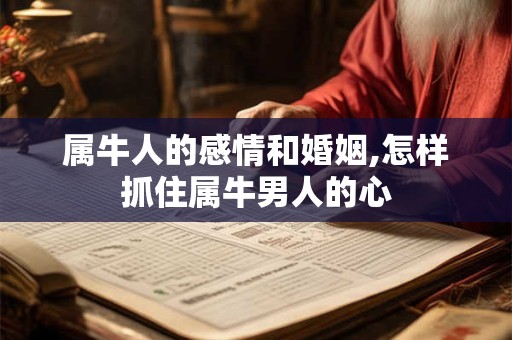详细阅读:属牛人的感情和婚姻,怎样抓住属牛男人的心 属牛人的感情和婚姻,怎样抓住属牛男人的心