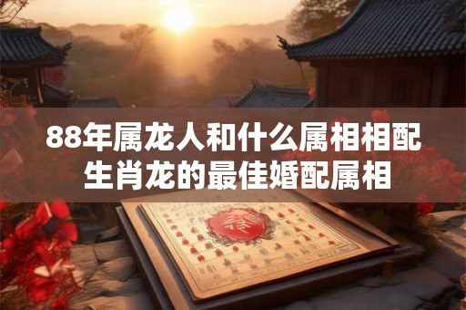 88年属龙人和什么属相相配 生肖龙的最佳婚配属相