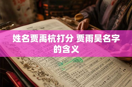 姓名贾禹杭打分 贾雨昊名字的含义