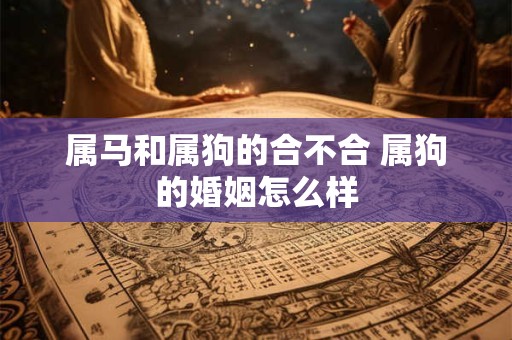 属马和属狗的合不合 属狗的婚姻怎么样