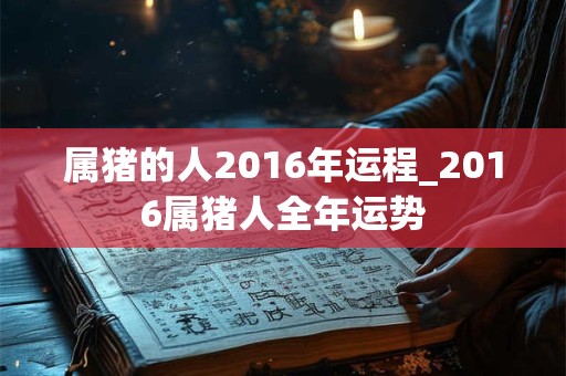 属猪的人2016年运程_2016属猪人全年运势