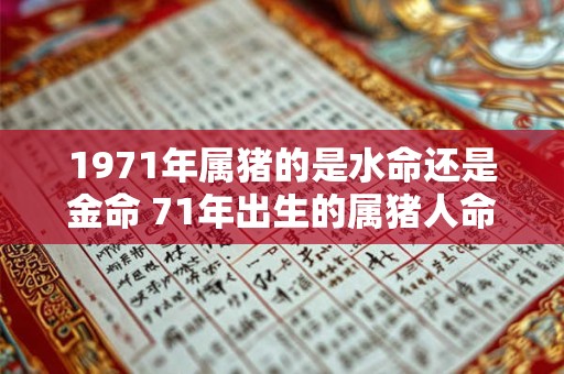 1971年属猪的是水命还是金命 71年出生的属猪人命运如何