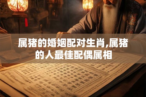 属猪的婚姻配对生肖,属猪的人最佳配偶属相