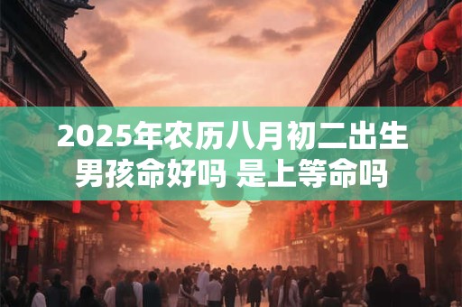 2025年农历八月初二出生男孩命好吗 是上等命吗 2025年农历八月初二出生男孩命好吗 是上等命吗