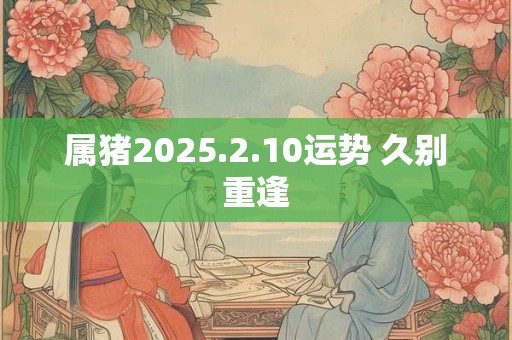 属猪2025.2.10运势 久别重逢