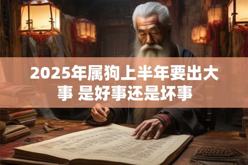 2025年属狗上半年要出大事 是好事还是坏事