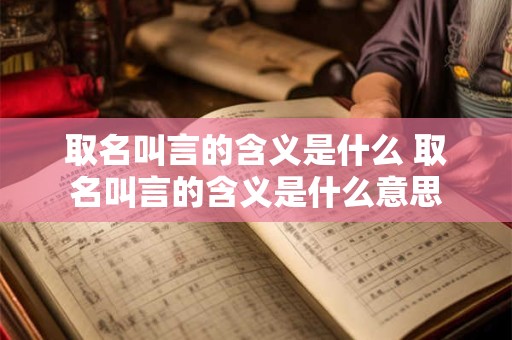 取名叫言的含义是什么 取名叫言的含义是什么意思