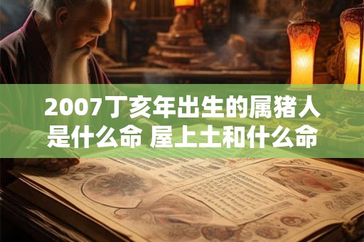2007丁亥年出生的属猪人是什么命 屋上土和什么命最配