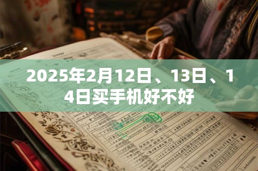 2025年2月12日、13日、14日买手机好不好