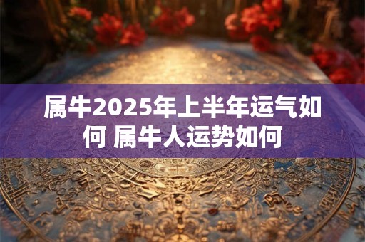属牛2025年上半年运气如何 属牛人运势如何