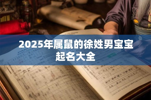 2025年属鼠的徐姓男宝宝起名大全