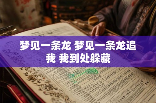 梦见一条龙 梦见一条龙追我 我到处躲藏