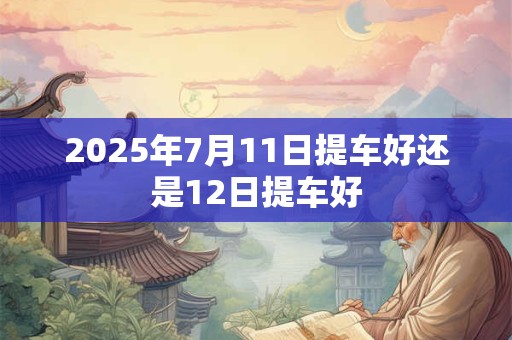 2025年7月11日提车好还是12日提车好