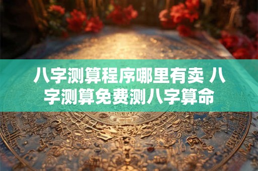 八字测算程序哪里有卖 八字测算免费测八字算命