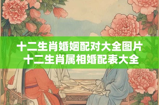 十二生肖婚姻配对大全图片 十二生肖属相婚配表大全