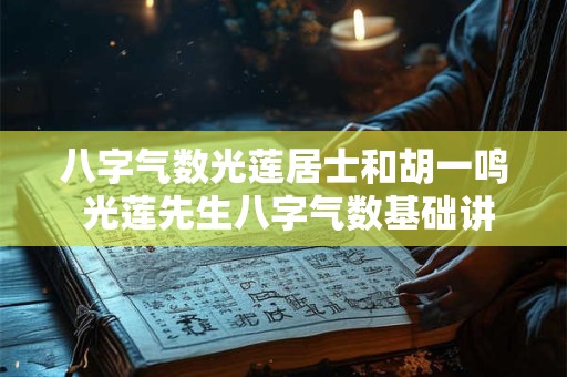 八字气数光莲居士和胡一鸣 光莲先生八字气数基础讲义
