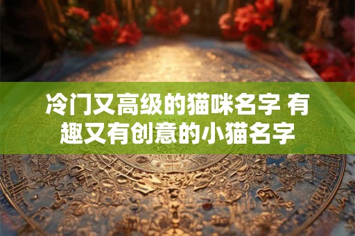 冷门又高级的猫咪名字 有趣又有创意的小猫名字