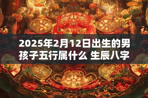 2025年2月12日出生的男孩子五行属什么 生辰八字取名