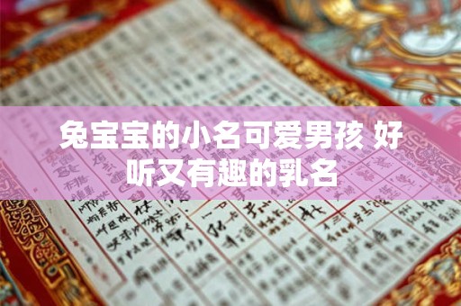兔宝宝的小名可爱男孩 好听又有趣的乳名