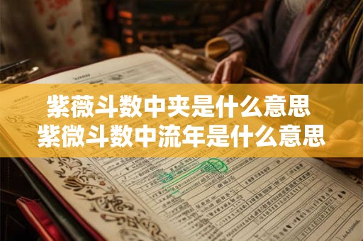 紫薇斗数中夹是什么意思 紫微斗数中流年是什么意思