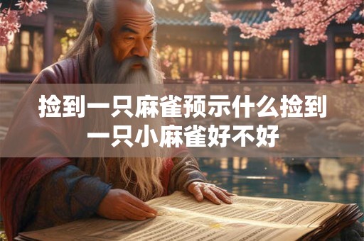 捡到一只麻雀预示什么捡到一只小麻雀好不好