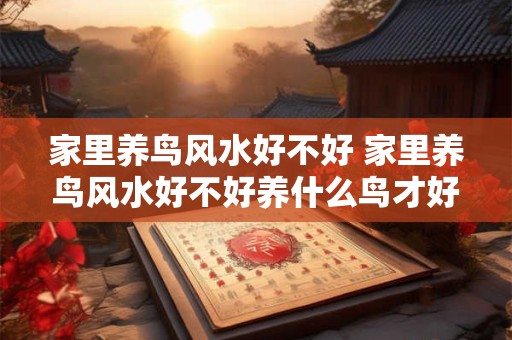 家里养鸟风水好不好 家里养鸟风水好不好养什么鸟才好呢