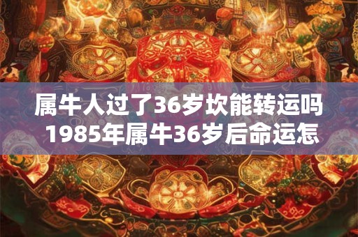 属牛人过了36岁坎能转运吗 1985年属牛36岁后命运怎么样