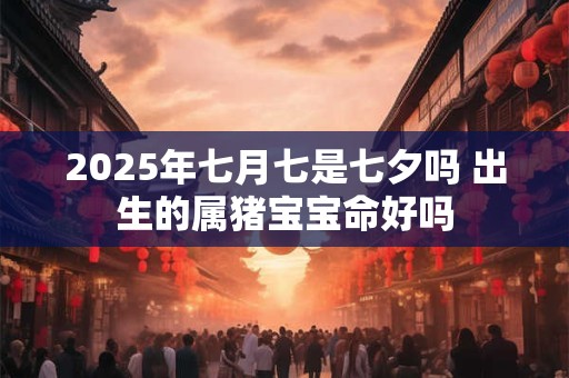 2025年七月七是七夕吗 出生的属猪宝宝命好吗