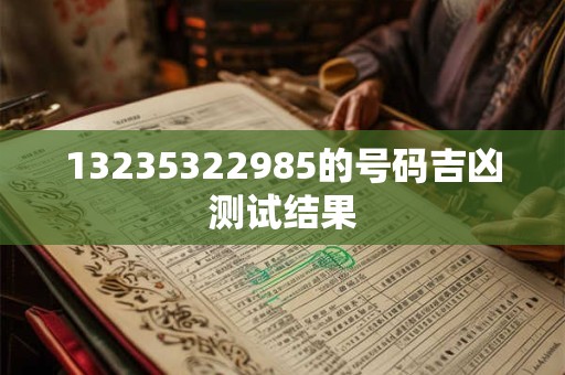 13235322985的号码吉凶测试结果
