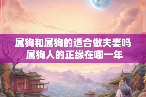 属狗和属狗的适合做夫妻吗 属狗人的正缘在哪一年