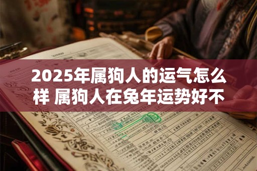 2025年属狗人的运气怎么样 属狗人在兔年运势好不好