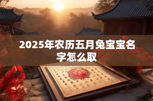 2025年农历五月兔宝宝名字怎么取