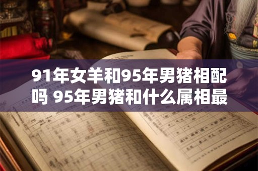91年女羊和95年男猪相配吗 95年男猪和什么属相最配